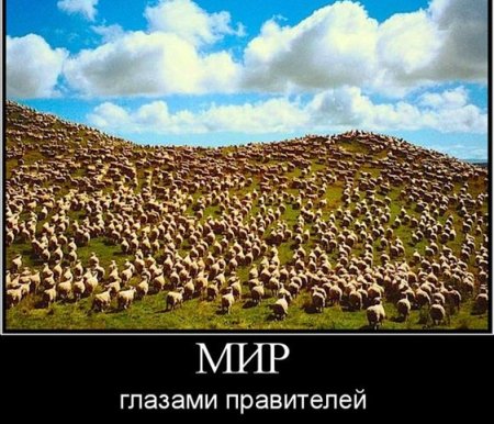 РосФотоМонтаж.