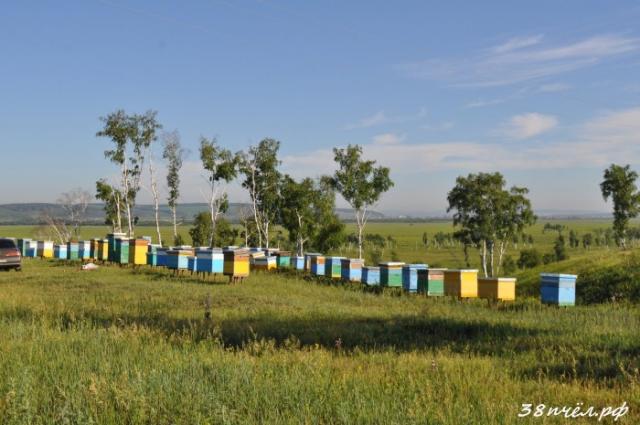 Мёд и продукты пчеловодства с семейной пасеки