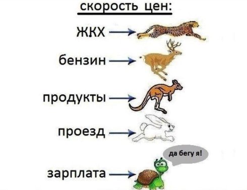 просто юмор в стишках