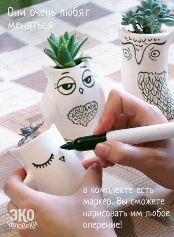 Забавные экочеловечки для вашего дома.